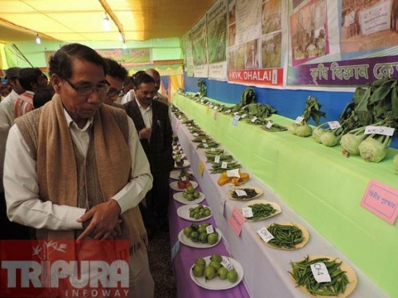 One day vegetable show organized at Kamalpur 
